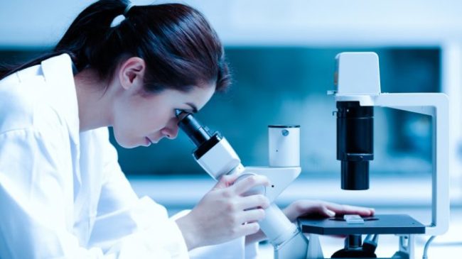 pesquisa cientifica (2)