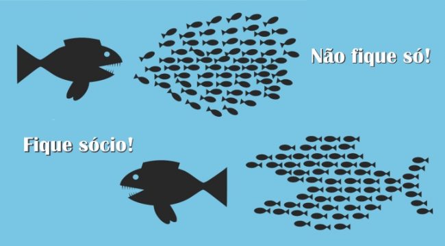 nao fique so – fique socio